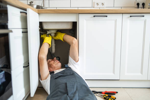 Best Boilers & Radiators  in Springfield, CO